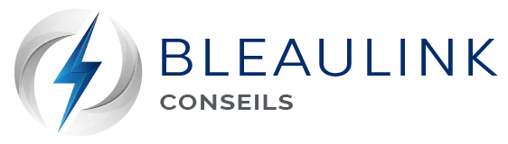 cropped-LOGO-BLEAULINK-CONSEILS-V1_1.webp